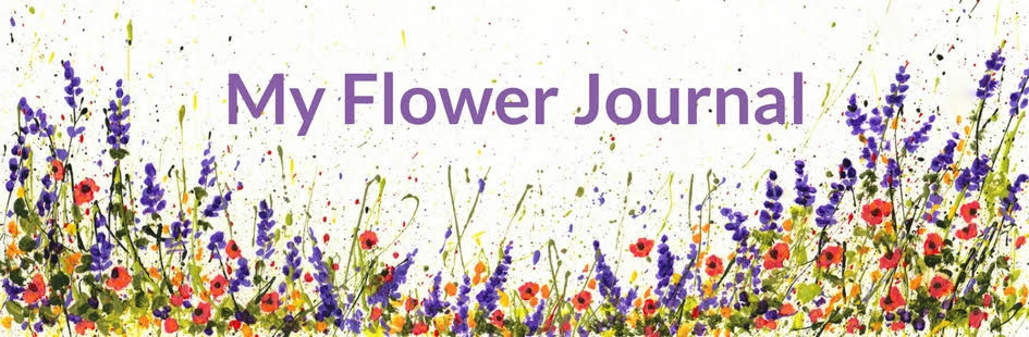 945x310 Watercolor Christmas Lights That Glow - Watercolor Christmas Lights