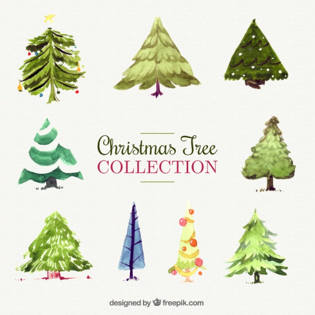 626x626 Decorative Christmas Trees Painted With Watercolor Vector Free - Watercolor Christmas Tree