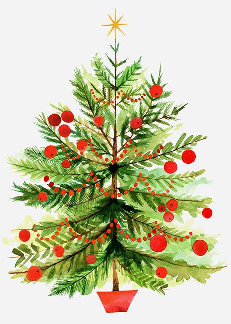 464x650 Magrikie Illustration Holiday Christmas Christmas - Watercolor Christmas Tree Cards