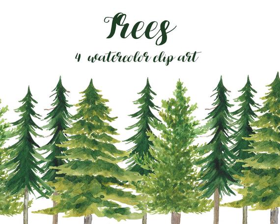 570x456 Buy 3 For 9 Usd Pine Fir Trees Handpainted Watercolor Etsy - Watercolor Christmas Tree Cards