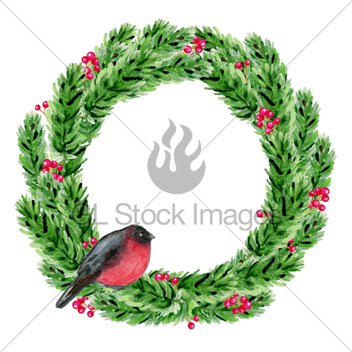 500x500 Watercolor Christmas Wreath With Bullfinch Gl Stock Images - Watercolor Christmas Wreath