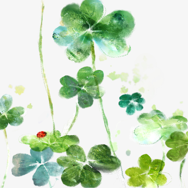 650x651 Beautiful Hand Painted Watercolor Clover, Watercolor Clipart - Watercolor Clover