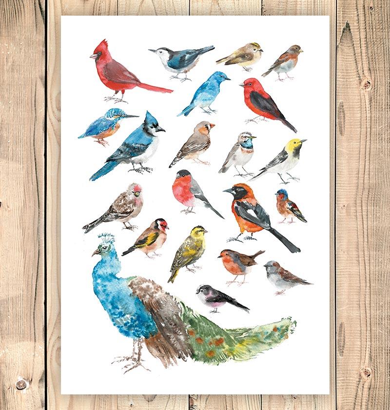 800x842 Bird Collage - Watercolor Collage