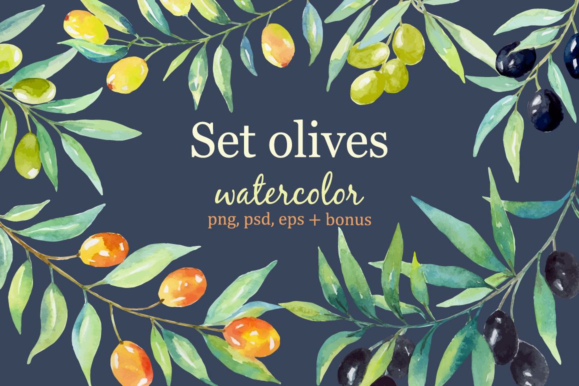 1158x772 Olive Set. Watercolor Collection. - Watercolor Collection