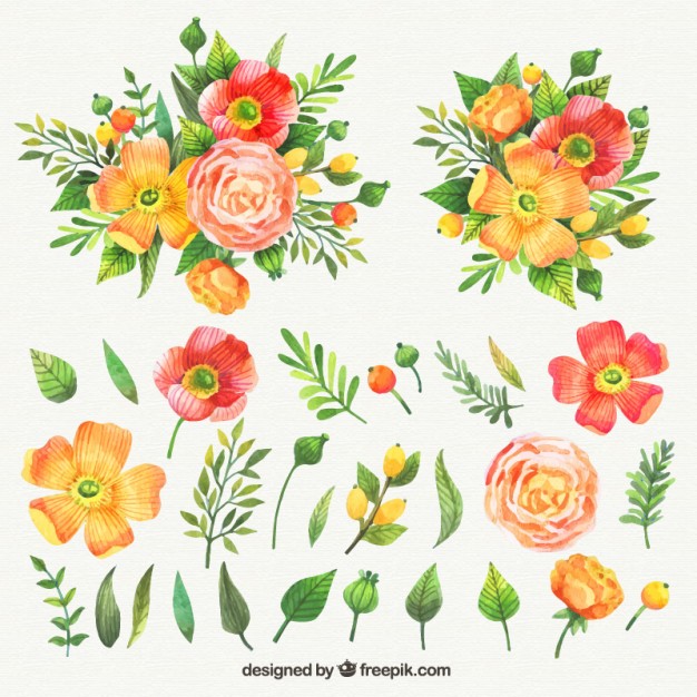 626x626 Watercolor Collection Of Nice Flowers Vector Free Download - Watercolor Collection
