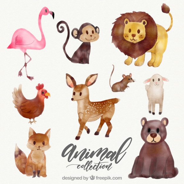 626x626 Watercolor Collection Of Wild Animals Vector Free Download - Watercolor Collection