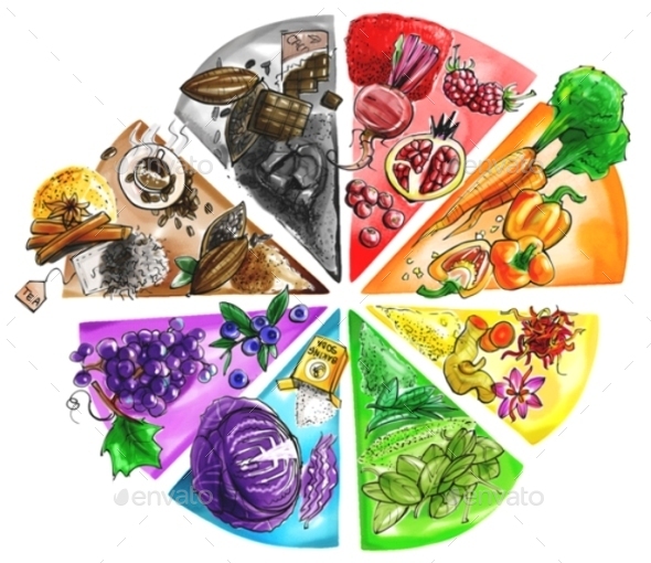 590x510 Food Color Wheel Watercolor Illustration By Mrpodo Graphicriver - Watercolor Color Wheel