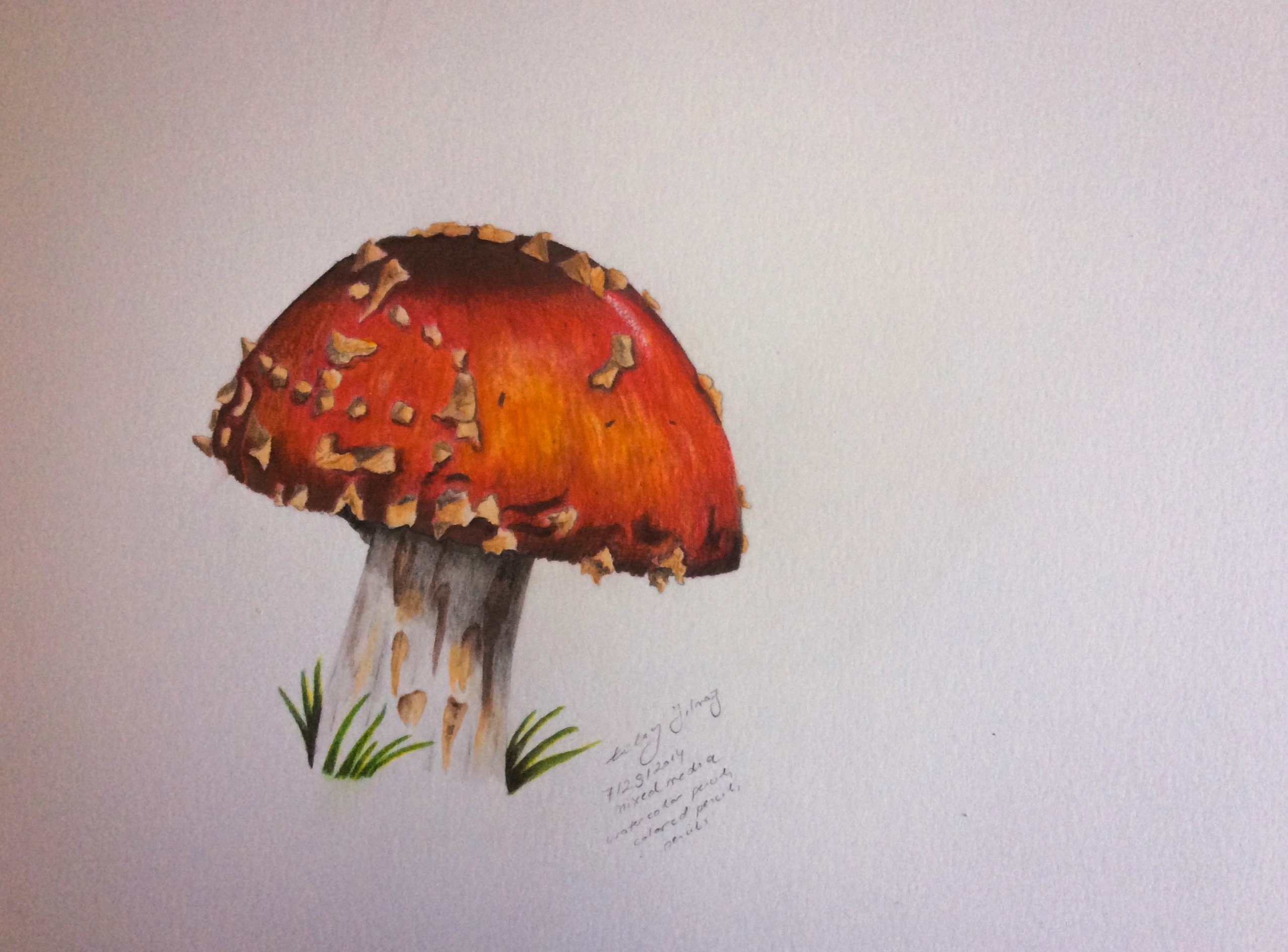 2556x1888 Photo Watercolor Color Pencil 5 - Watercolor Colored Pencils