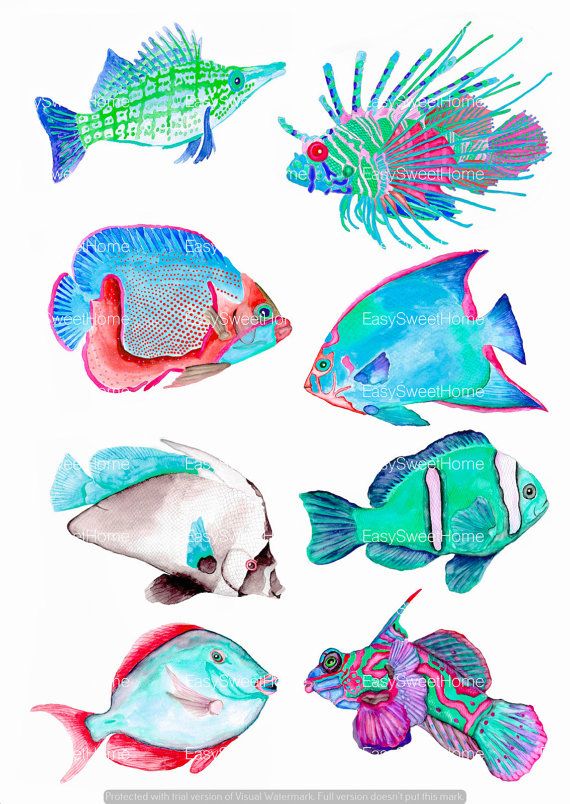 570x804 Watercolor Coral Reef Fish Decals These Are Original Watercolor - Watercolor Coral Reef