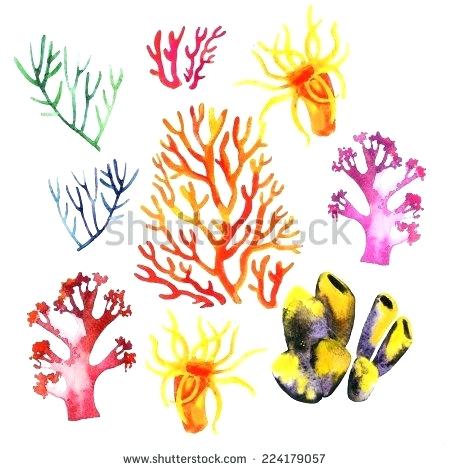 450x470 Watercolor Coral Reef Doha Mokdad - Watercolor Coral Reef Tattoo