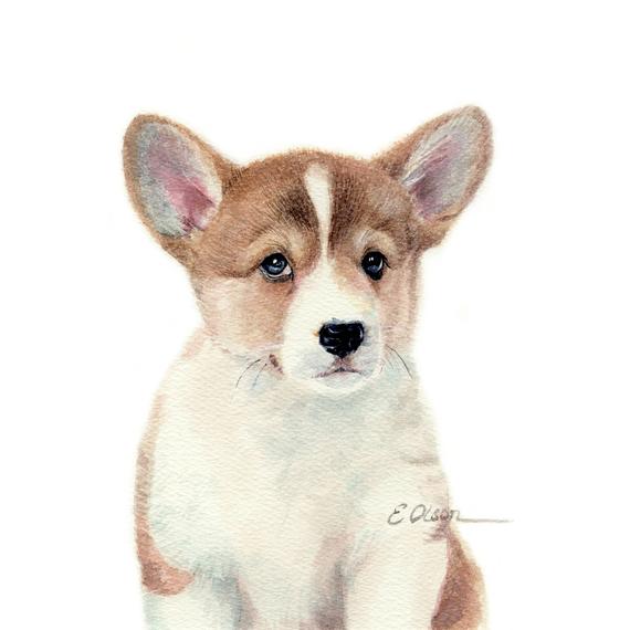 570x570 Watercolor Corgi Puppy Pembroke Welsh Corgi Watercolor - Watercolor Corgi