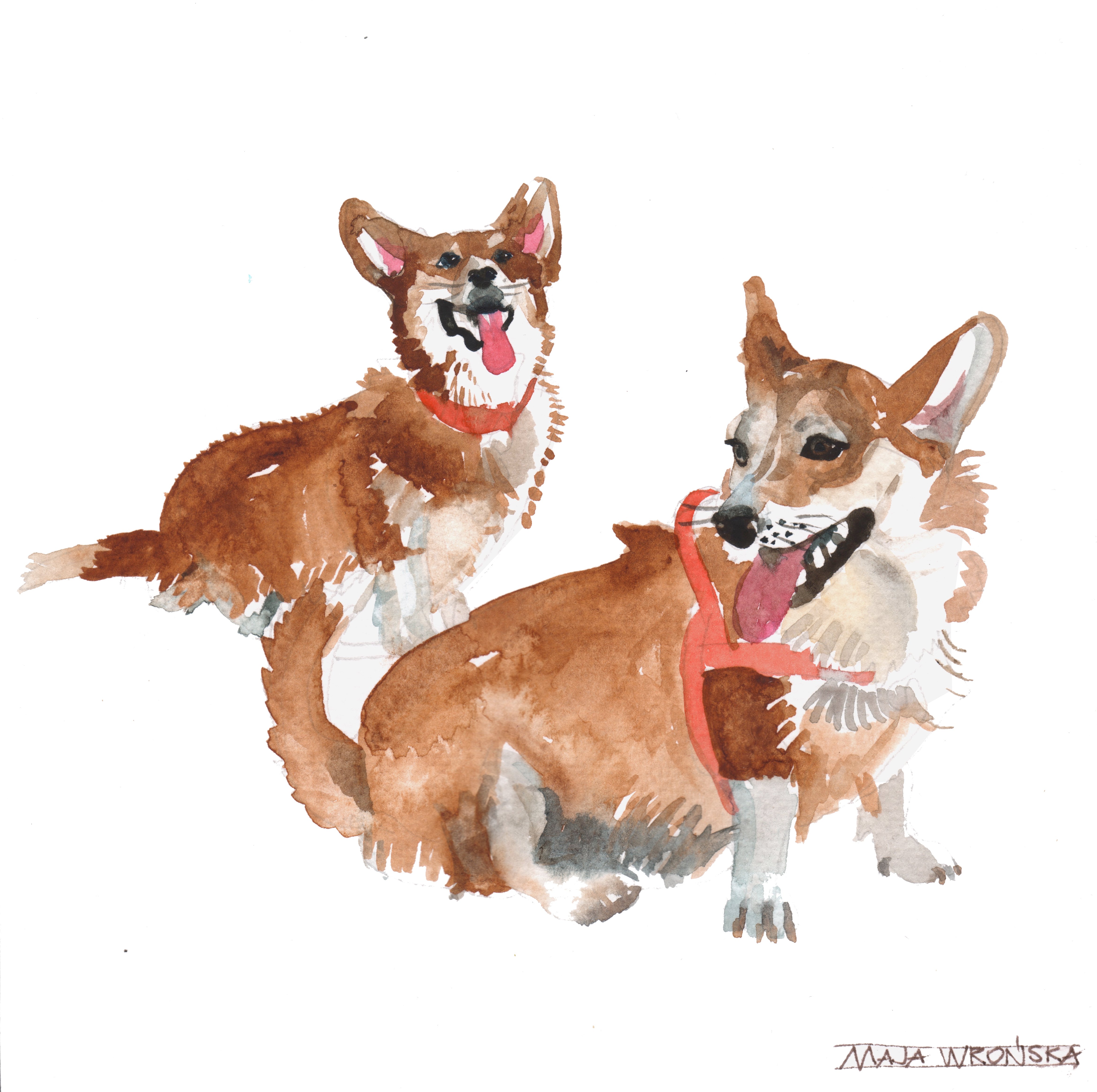 4680x4659 Watercolor Dogs Collection - Watercolor Corgi