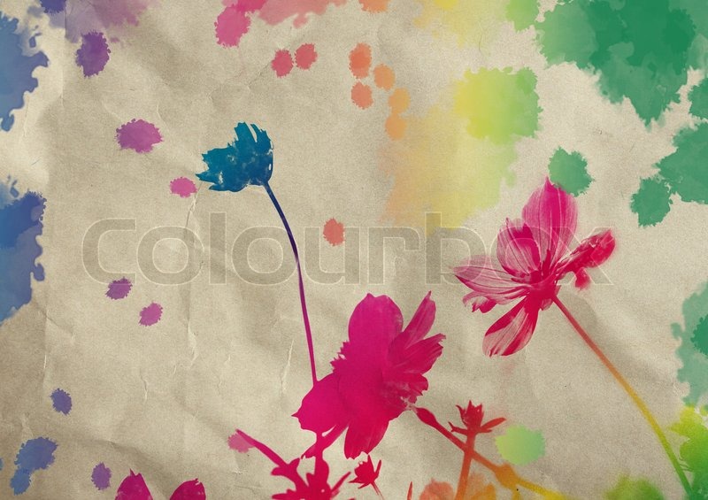 800x565 Cosmos Flower With Watercolor Splash On Grunge Paper Background - Watercolor Cosmos