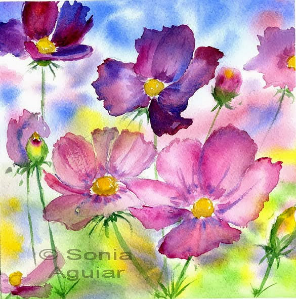 585x591 Flower Watercolor Art - Watercolor Cosmos