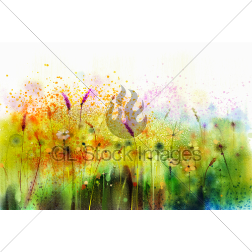 500x500 Abstract Watercolor Painting Purple Cosmos Flower Gl Stock Images - Watercolor Cosmos