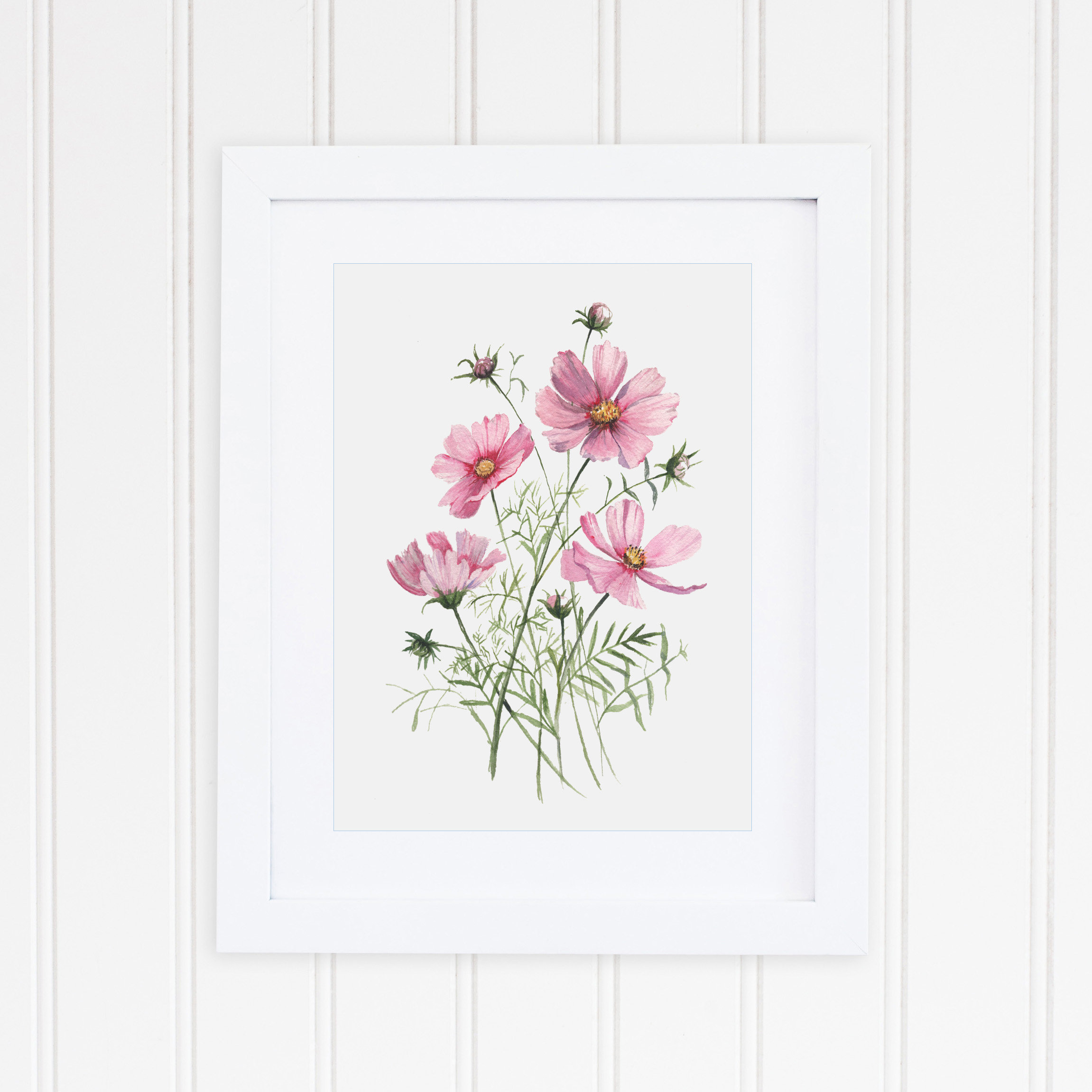 2302x2302 Watercolor Cosmos Wildflower Floral Art Print Pink Flower Etsy - Watercolor Cosmos