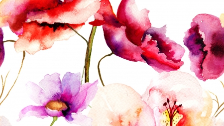 450x253 Watercolor Poppies And Cosmos - Watercolor Cosmos