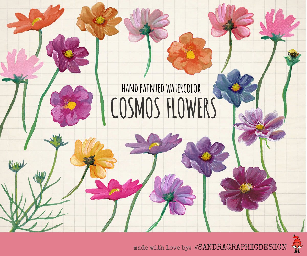 1200x1000 Clip Art Hand Painted Watercolor Flowers, 18 - Watercolor Cosmos