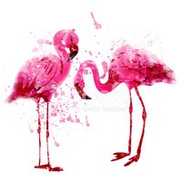 200x200 Vector Watercolor Pink Flamingo Couple In Splashes Stock Vectors - Watercolor Couple