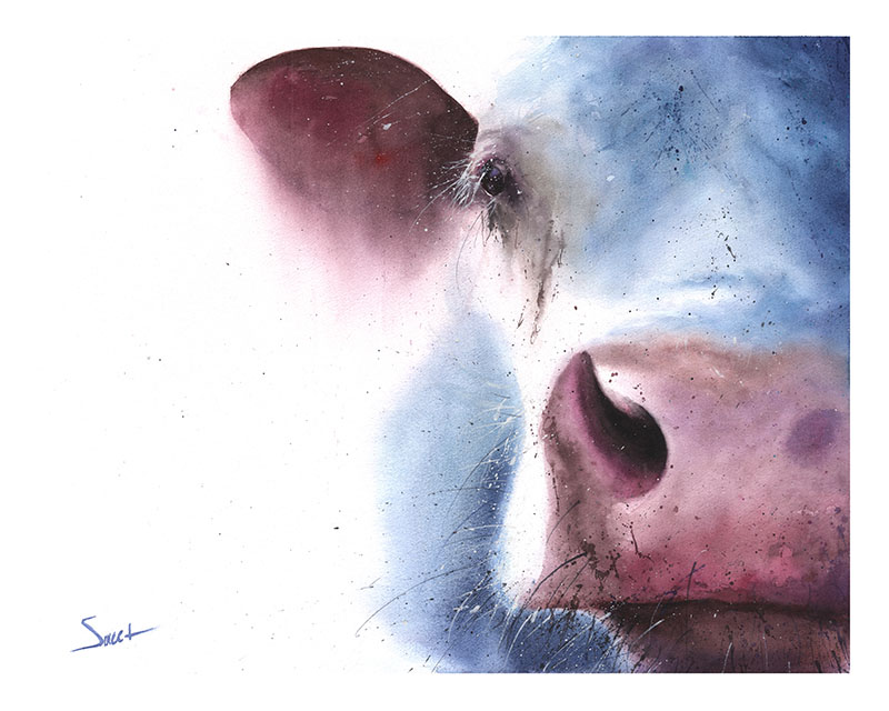 800x640 Cow Watercolor Print Watercolor Animal Paintings - Watercolor Cow