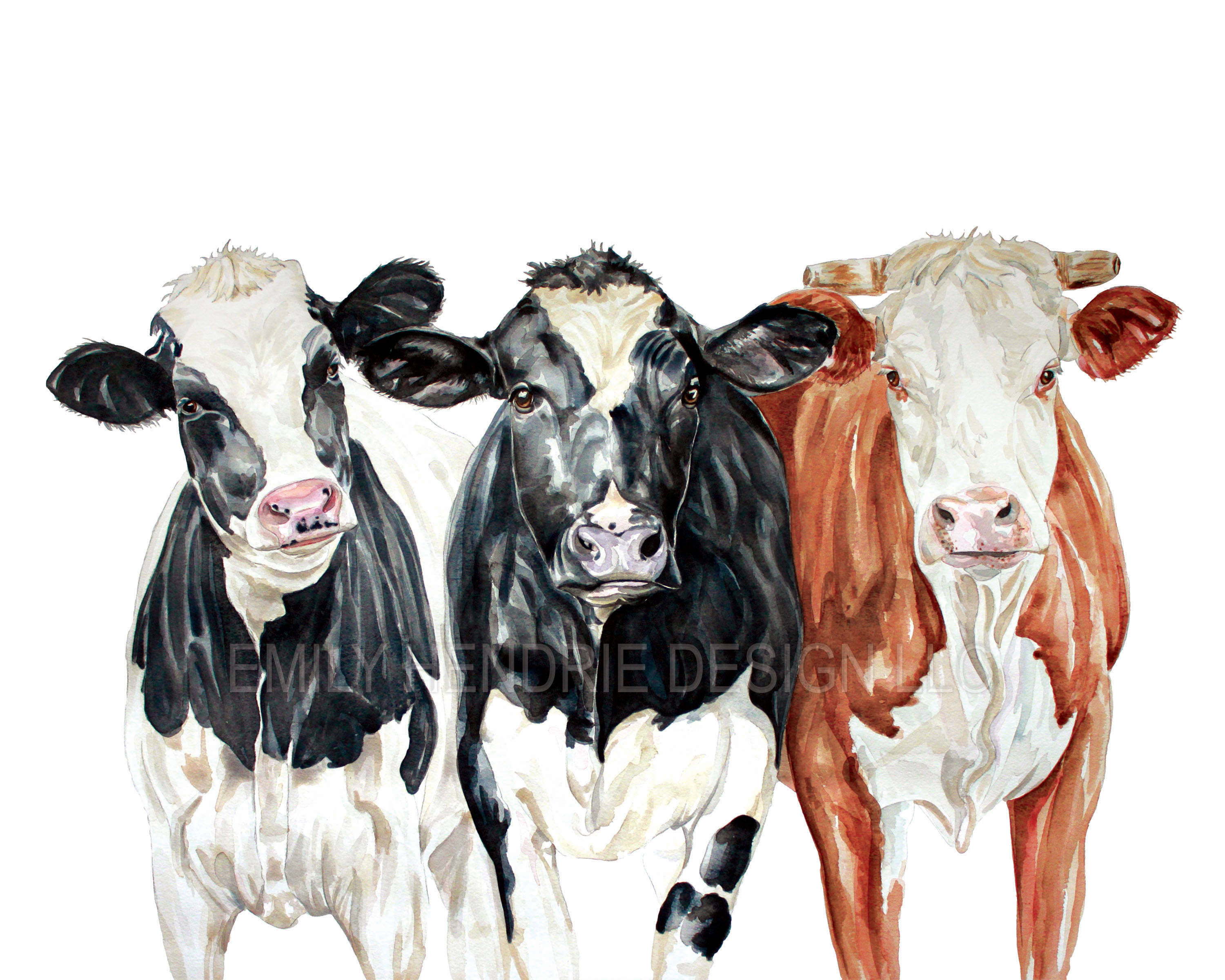 Рисунки акварелью на белом фоне корова