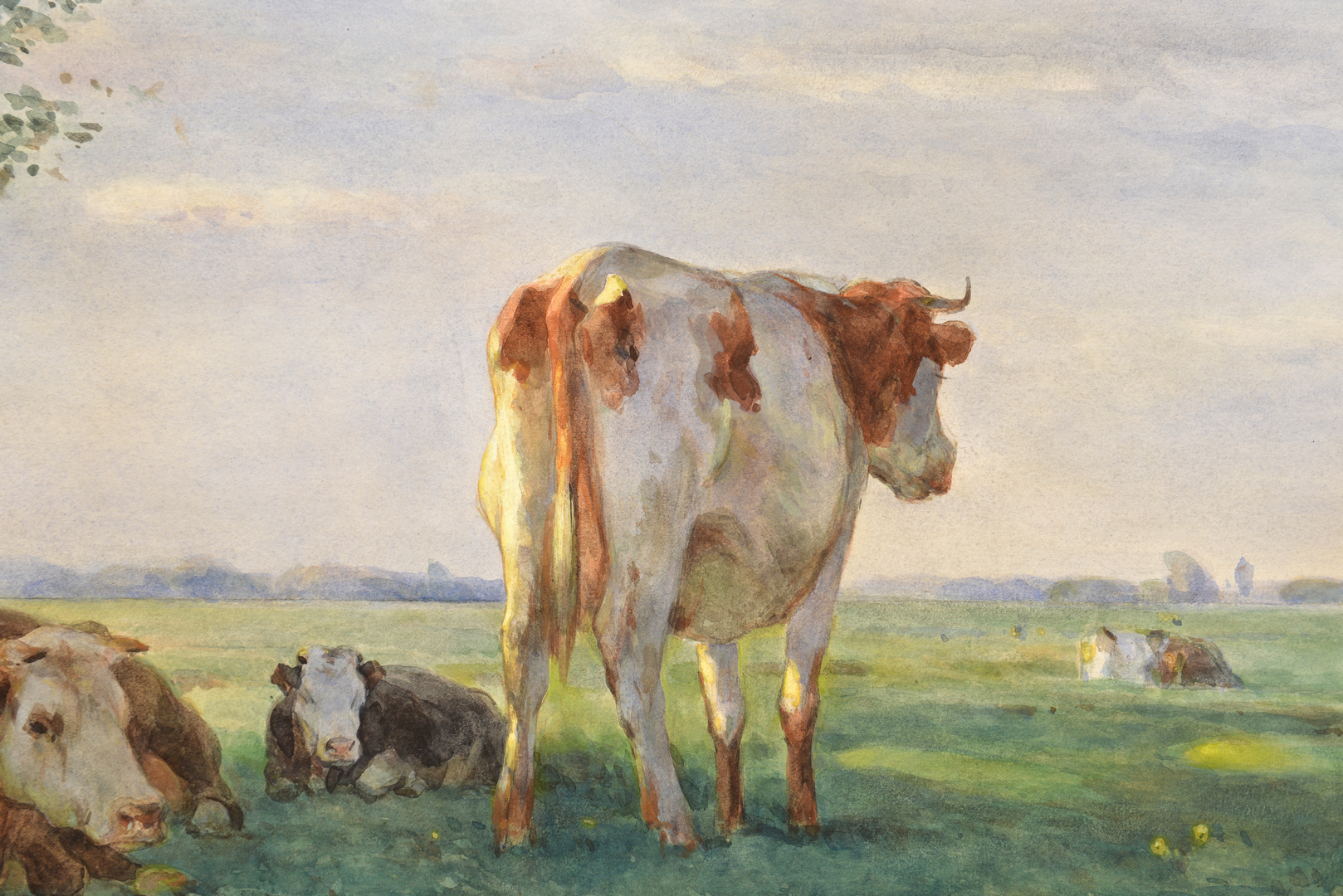 1618x1080 Lot 501 Pieter Stortenbeker Watercolor, Cows - Watercolor Cow