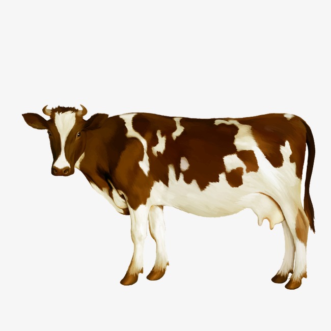 650x650 Watercolor Cow Vector, Watercolor, Brown White, Dairy Cow Png And - Watercolor Cow