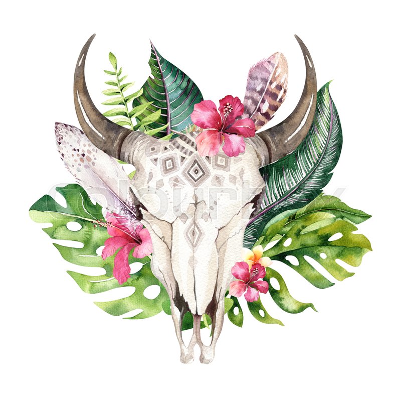 800x799 Watercolor Bohemian Cow Skull And Tropic Palm Leaves. Western Deer - Watercolor Cow
