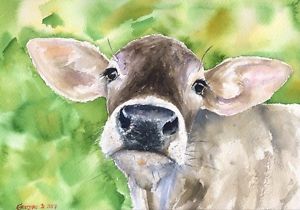 300x210 Cow Watercolor Print Of The Original Watercolor Painting Cattle - Watercolor Cow Painting
