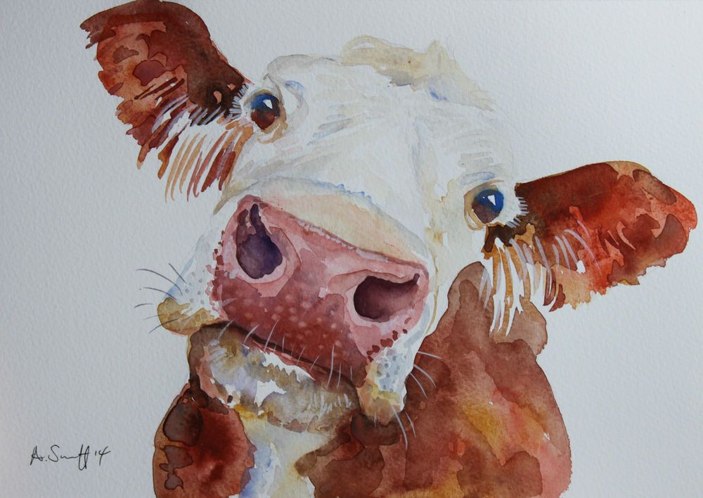 1000x708 Unique Original Brown Cow Cattle Farm Watercolour Painting - Watercolor Cow Painting