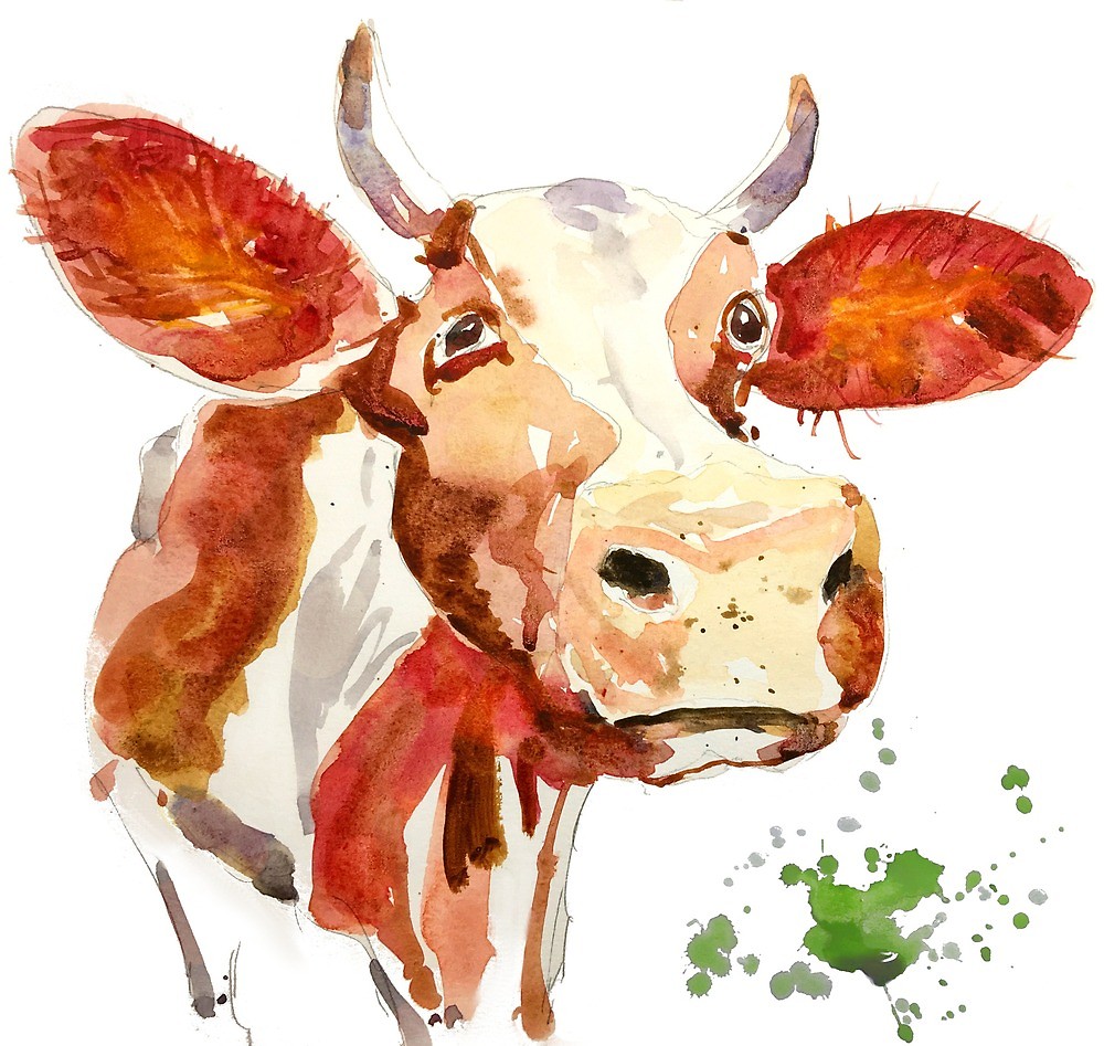 1000x947 Watercolor Cow Painting - Watercolor Cow Painting