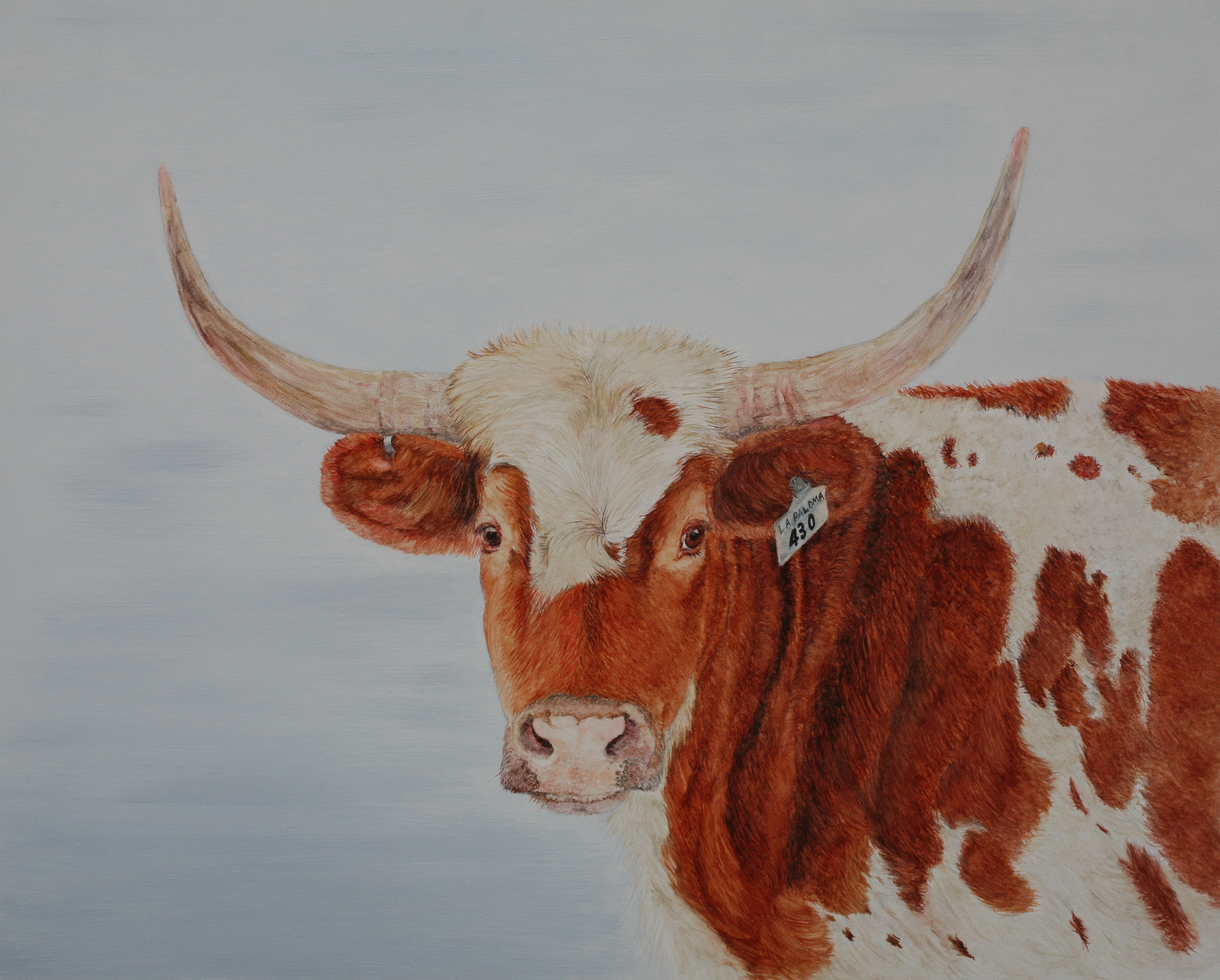 3248x2610 Watercolor Cow Painting Dana Spring Parish - Watercolor Cow Painting