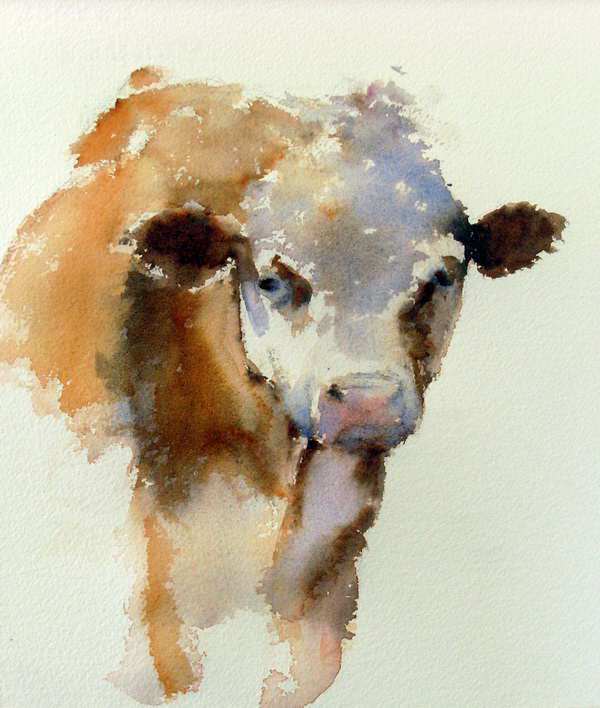 600x708 Watercolor Paintings People And Animals Gallery - Watercolor Cow Painting