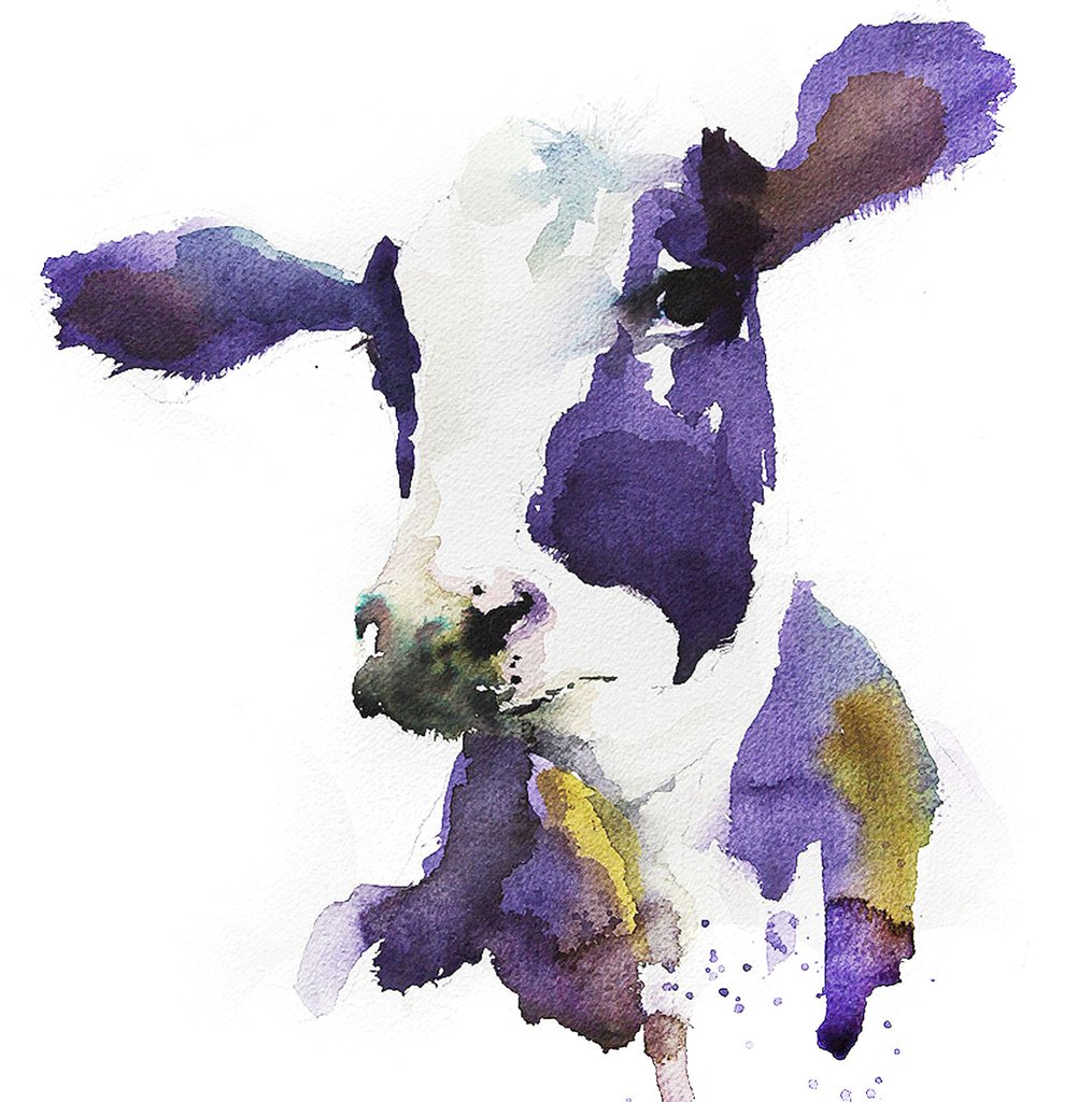 1015x1024 Signed Print Of My Original Dairy Cow Watercolour - Watercolor Cow Painting