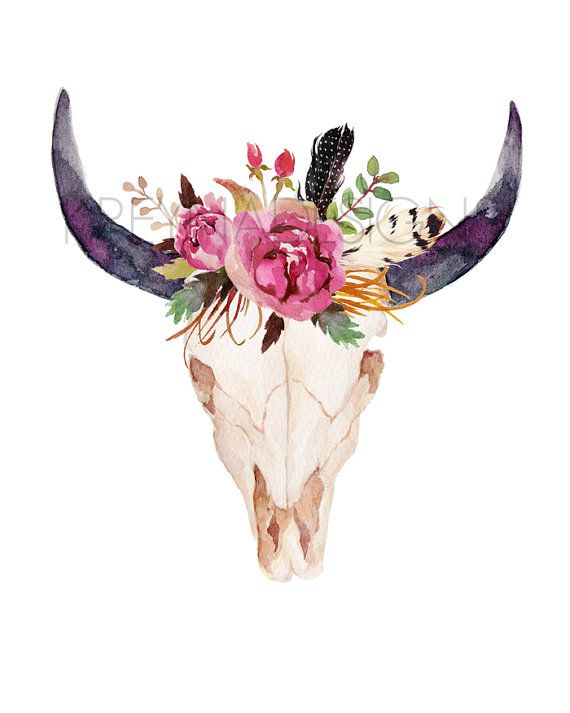 570x713 Cow Skull, Printable Wall Art, Wall Decor, Feather, Boho - Watercolor Cow Skull