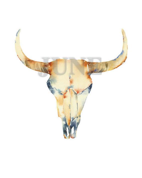 570x713 Cow Skull 8 X 10 11 X 14 June Watercolor June Watercolor Etsy - Watercolor Cow Skull