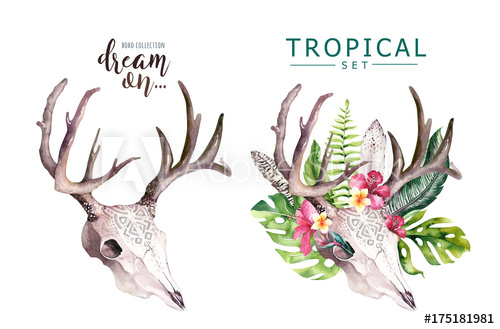 500x329 Watercolor Bohemian Cow Skull And Tropic Palm Leaves. Western Deer - Watercolor Cow Skull