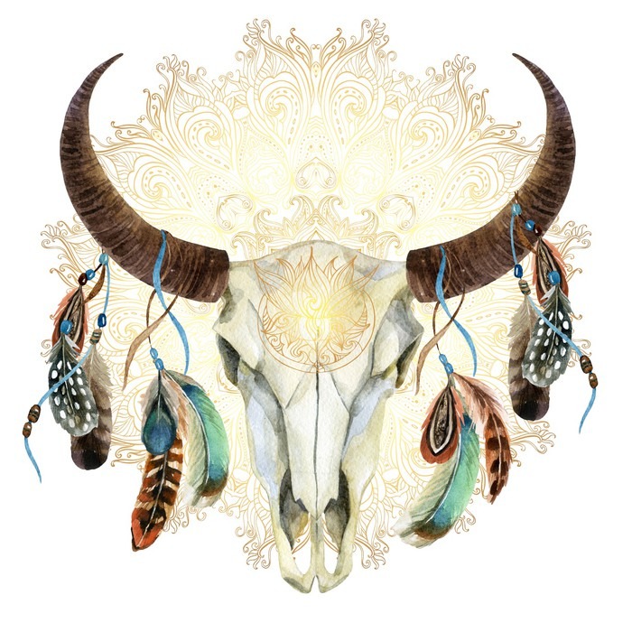 700x700 Watercolor Cow Skull With Feathers Poster We Live To - Watercolor Cow Skull