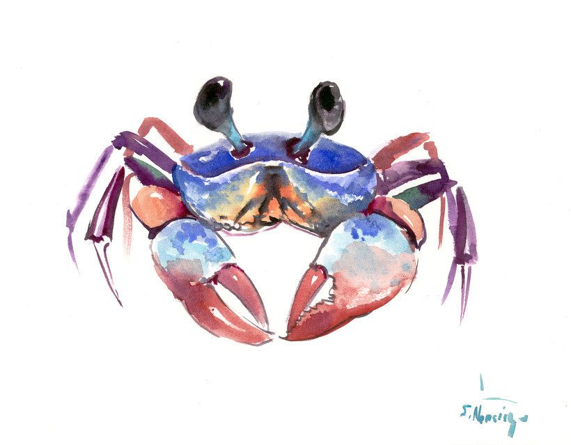 820x639 Crab, 12 X 9 In, Original Watercolor Sea World Animal Art, Crab - Watercolor Crab