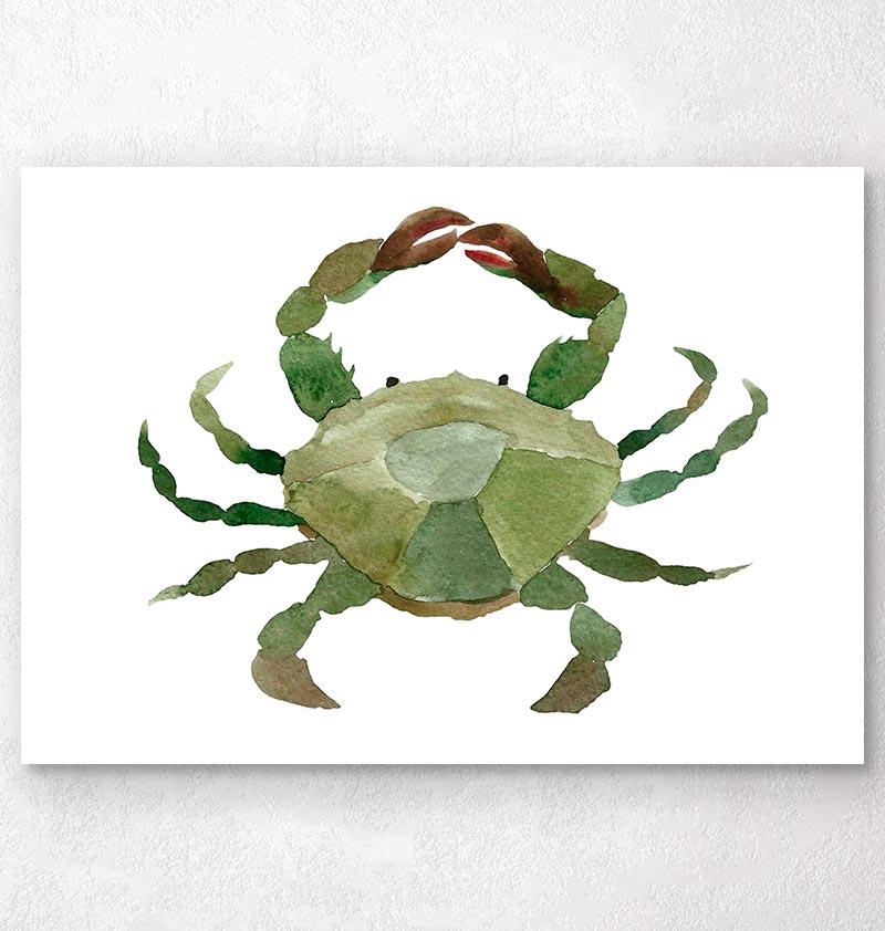 800x842 Crab Ii - Watercolor Crab