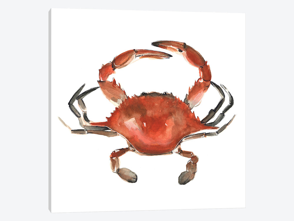 1000x750 Watercolor Crab I Canvas Art Print By Emma Scarvey Icanvas - Watercolor Crab