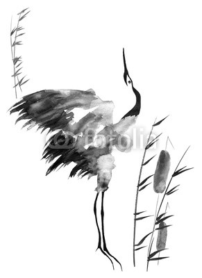 291x400 Japanese Crane Bird Drawing. Watercolor And Ink Illustration In - Watercolor Crane