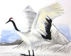 236x187 57 Best Crane Images Japanese Watercolor, Birds And - Watercolor Crane