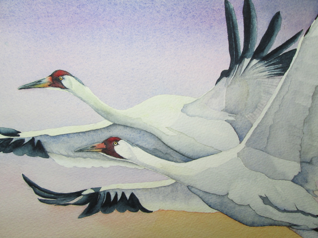 Watercolor Crane at PaintingValley.com | Explore collection of ...