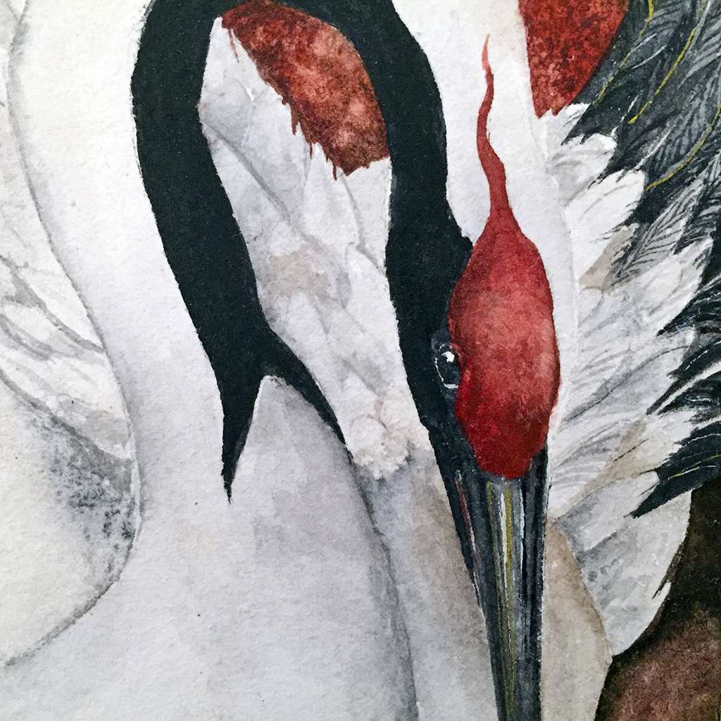 1024x1024 Beki Killorin Original Watercolor - Watercolor Crane