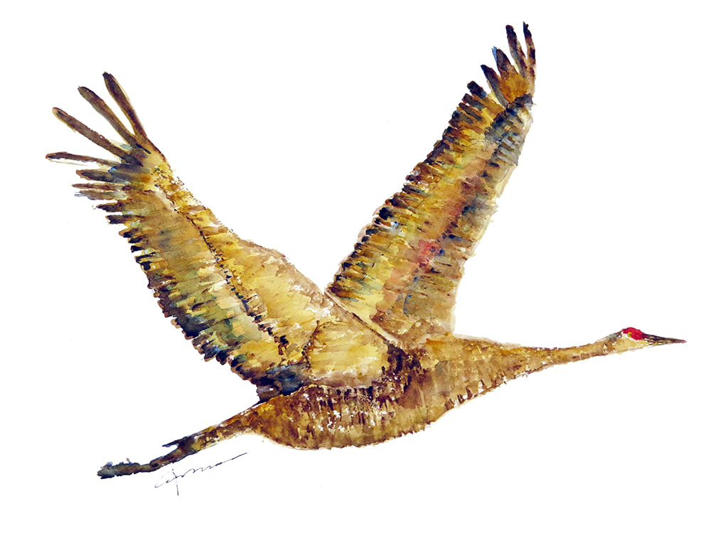 1000x750 Crane In Flight Watercolor Painting Claudia Hafner Watercolor - Watercolor Crane