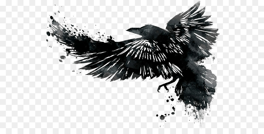 900x460 Xt Brewing Company Tattoo Ink Tattoo Artist Common Raven - Watercolor Crow Tattoo