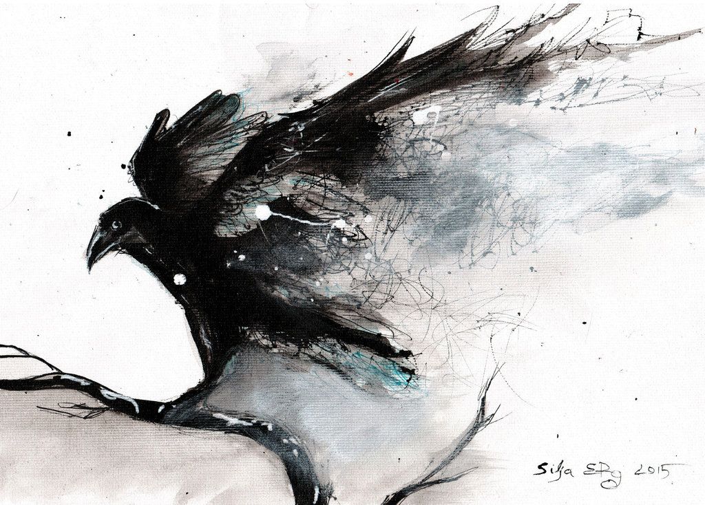 1024x734 For Sale Here Ink 20x30cm, On - Watercolor Crow Tattoo