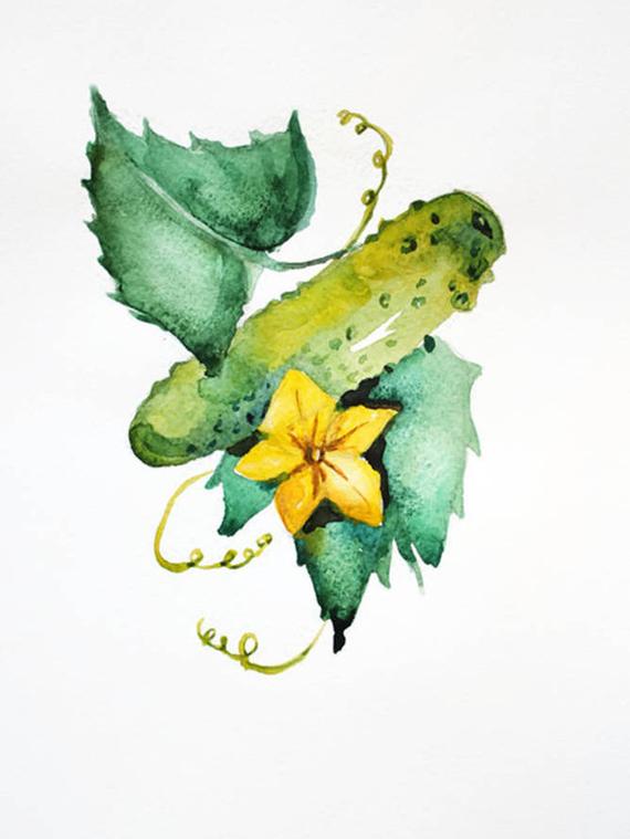 570x759 Cucumber Original Watercolor Vegetables Watercolor Cucumber Etsy - Watercolor Cucumber