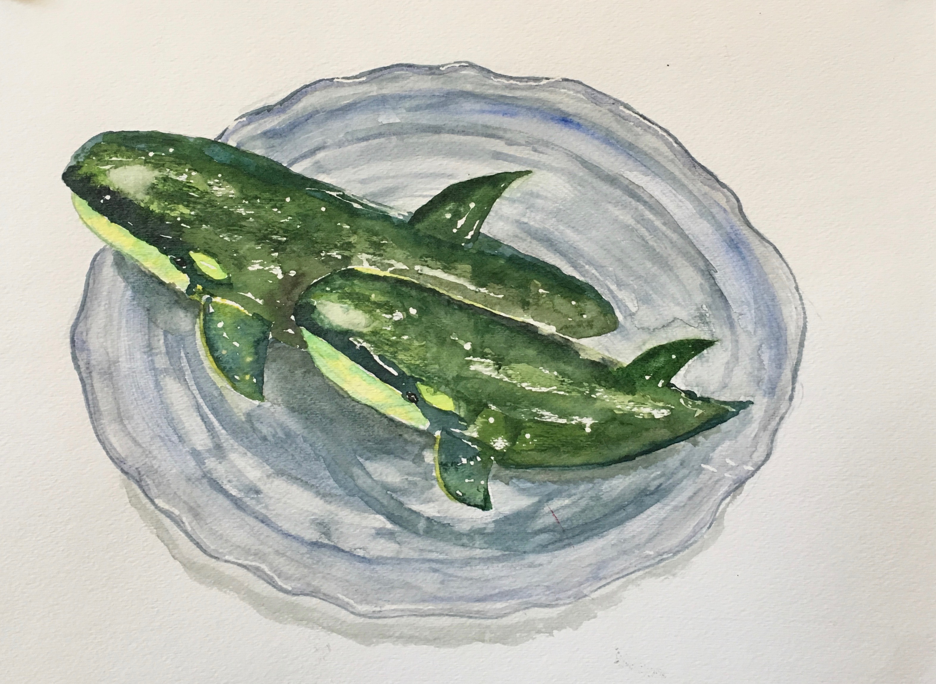 3146x2298 Painting Food In Watercolor Cucumber Orcas Hankinsonholmes - Watercolor Cucumber